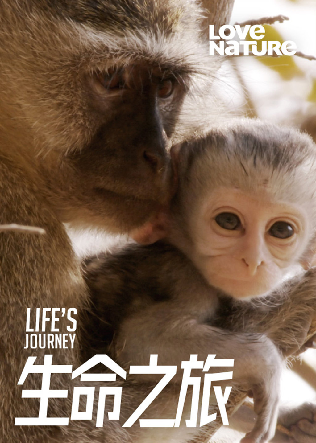 生命之旅第1集 生命的起點|免費線上看|LINE TV-精彩隨看