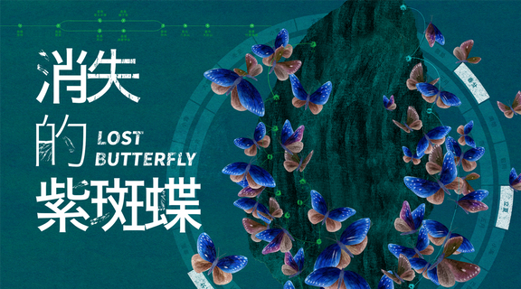 消失的紫斑蝶