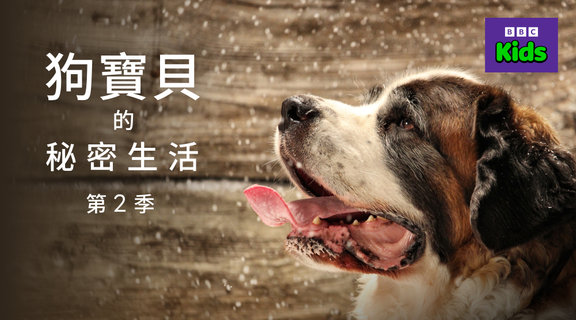 狗寶貝的秘密生活 第2季