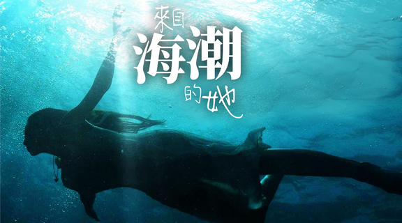 來自海潮的她