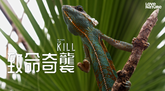 致命奇襲