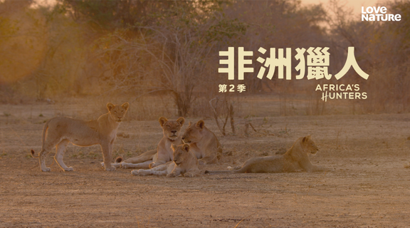 非洲獵人 第二季