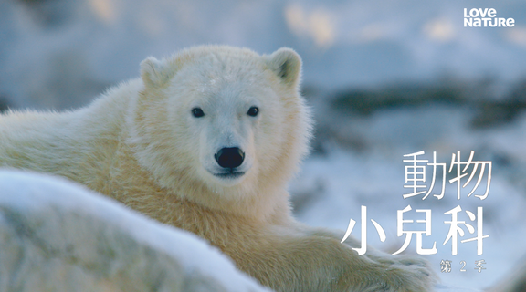 動物小兒科 第二季