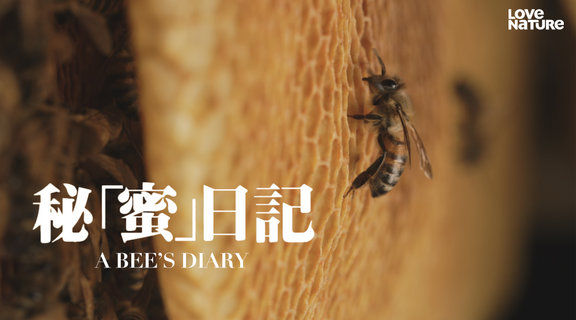 秘「蜜」日記