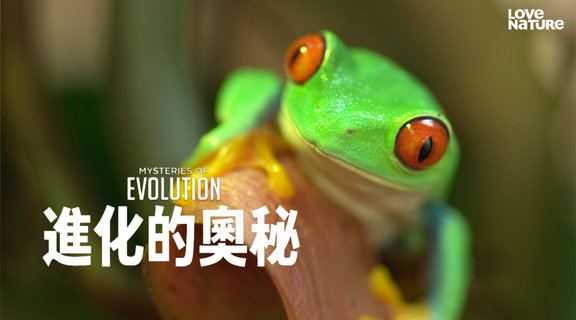 進化的奧秘 第一季