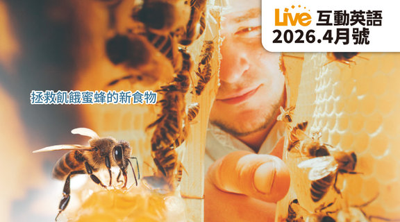 拯救飢餓蜜蜂的新食物 | Live互動英語4月