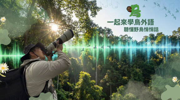 一起來學鳥外語