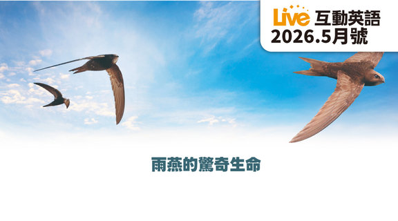雨燕的驚奇生命 | Live互動英語5月