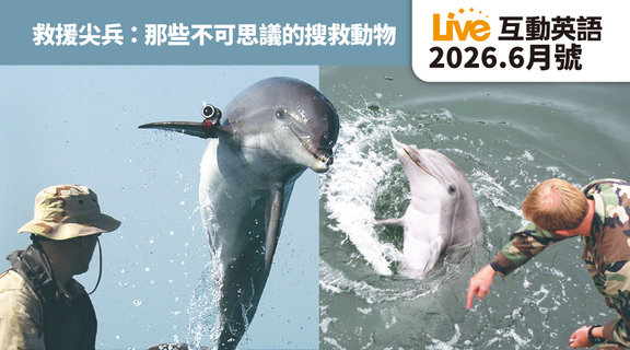 救援尖兵 那些不可思議的搜救動物 | Live互動英語6月