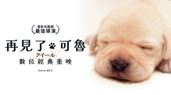 再見了，可魯：數位經典重映