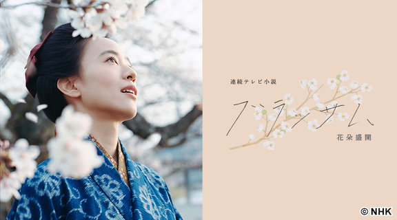 花朵盛開